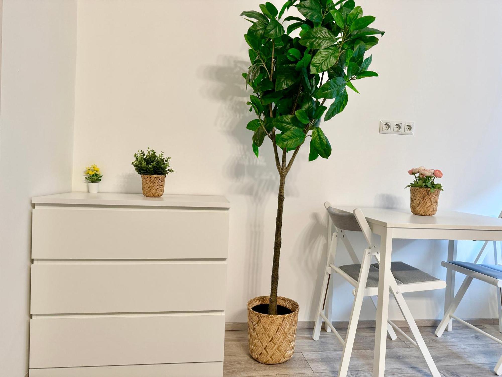 Stylish Schonbrunn Apartments With Free Parking Wien Ngoại thất bức ảnh